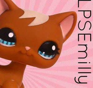 LPSEmilly