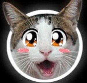 Neomito