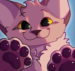 SilkySketches