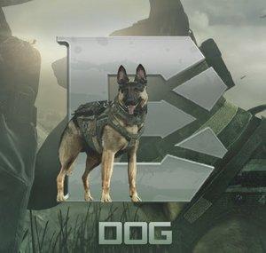 BasE DoG