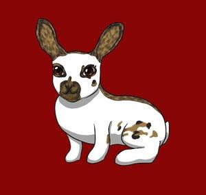 Gartenhoppler Die Trick-Rabbits