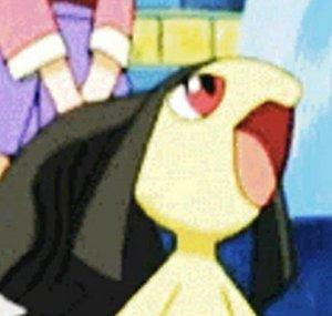 karp 6000