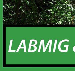 LabmigOfficial