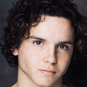 Noah Lomax