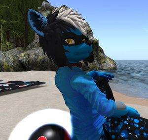 Riolu-Coach