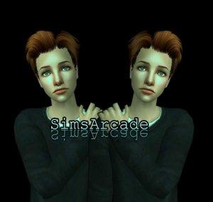 SimsArcade