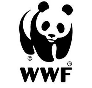 WWF International - Discover more