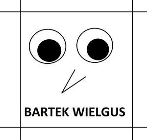 Bartek Wielgus