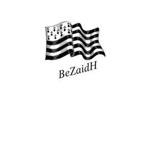 BeZaidH