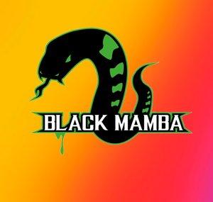 BlackMamba90