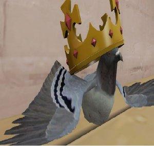 Crazypigeonking The First
