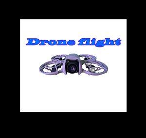 Drone flight