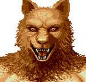 Likan Gamer