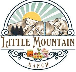 Little Mountain Ranch