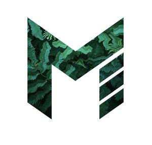 MetaIicDzn