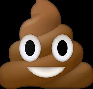 Poo Poo Productions