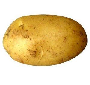 ThePwnagePotato