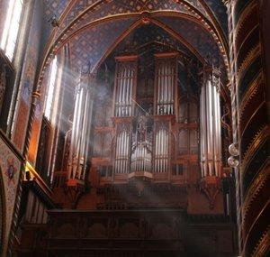 Wouter at the organ