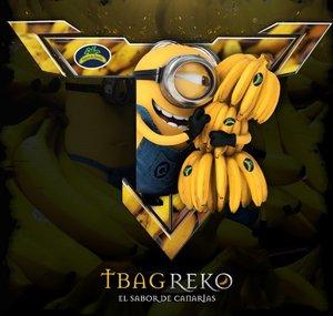 Besiege Reko