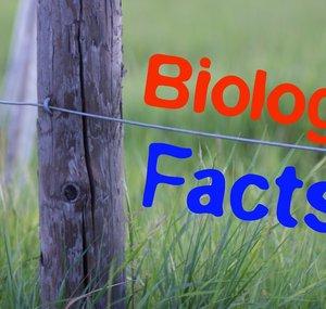 BiologyFacts