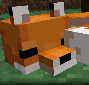 Daily Dose of Minecraft