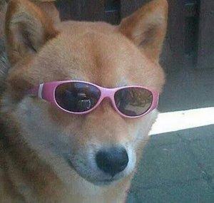 Dogzilla