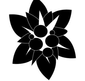 Edelweiss