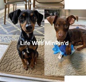 Life Well MinPin'd