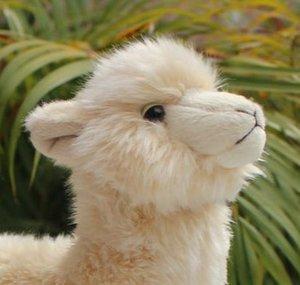 LlamaField