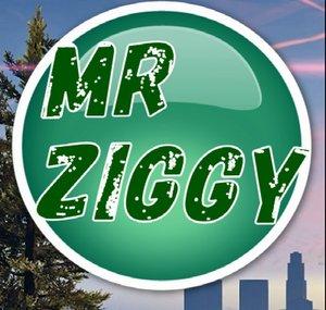 Mr Ziggy Zigg