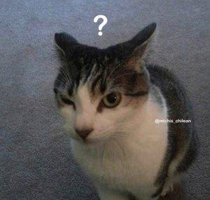 Omeg