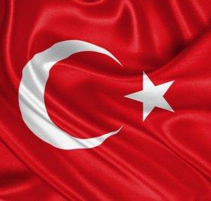 Selim Enes Akkaya- S.E.A