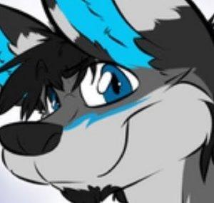 StormfoxSoro