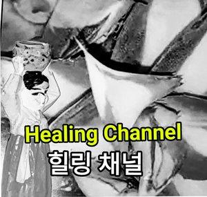 다육이힐링 Succulent Plant