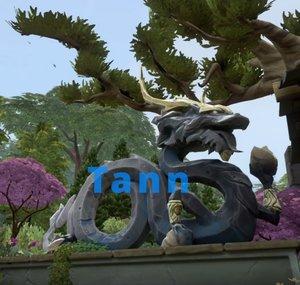 Tann