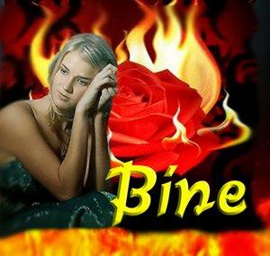 TheBinily