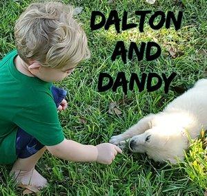 Dalton and Dandy