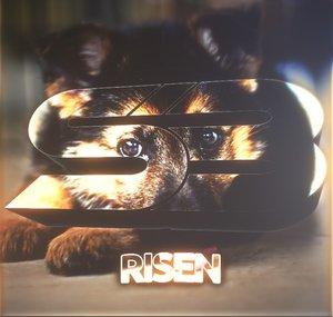 SB Risen