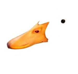seDUCKtive