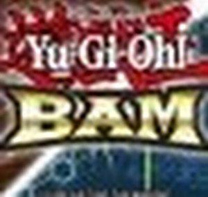 TeamBCYGO