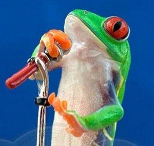 Vocal Animal
