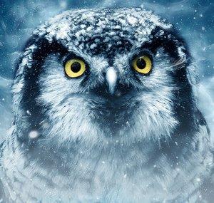 Archimedes