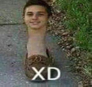 BendixYTP
