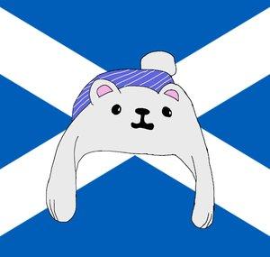 ColdIceBear