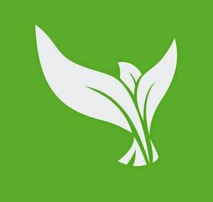 Creation Today Ministry