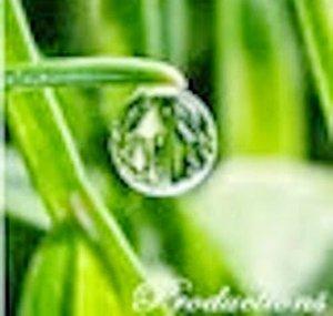 DewDropsProductions