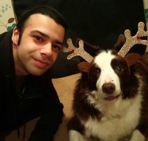 Jazz The Dog TV