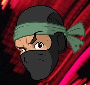 NiNjA with the Brikx