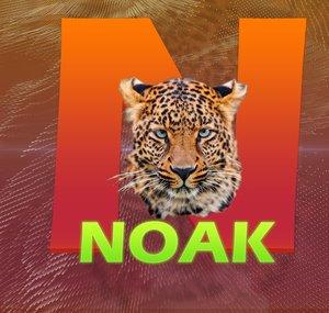 NoakEdits