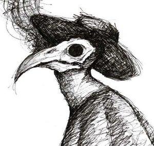 NoctornisVFX